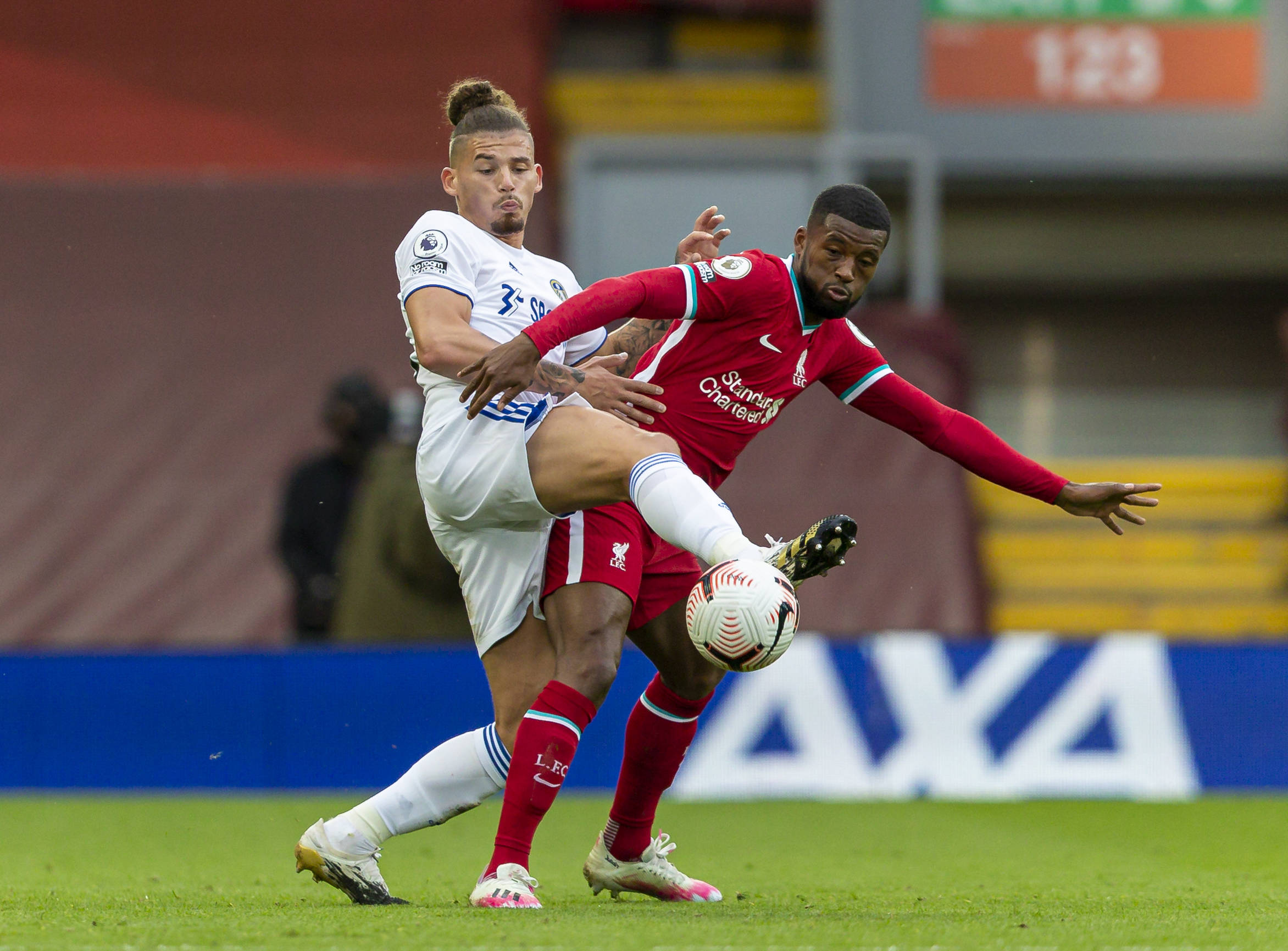 我们期待他 我们期待他