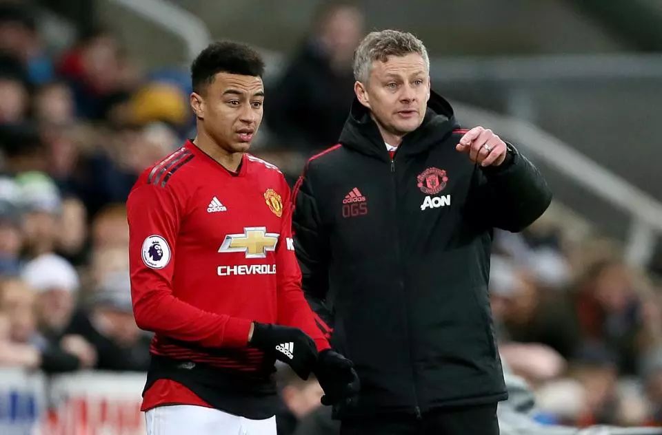 设计和智能 设计和智能